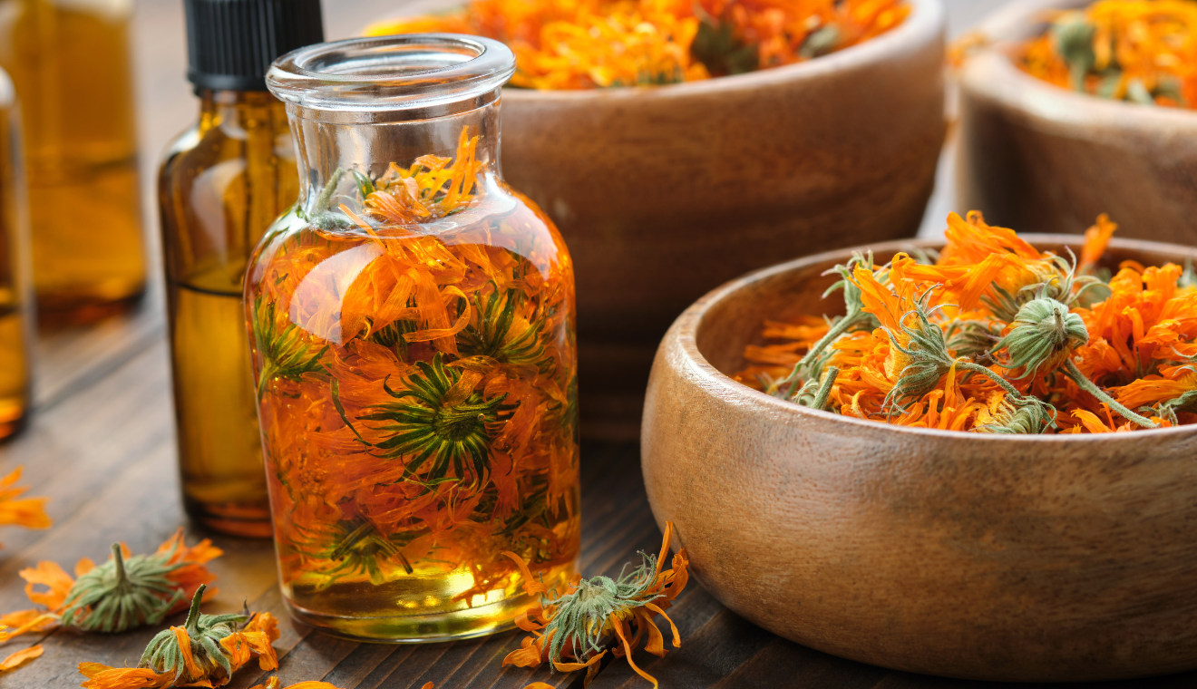 Extracto de Caléndula