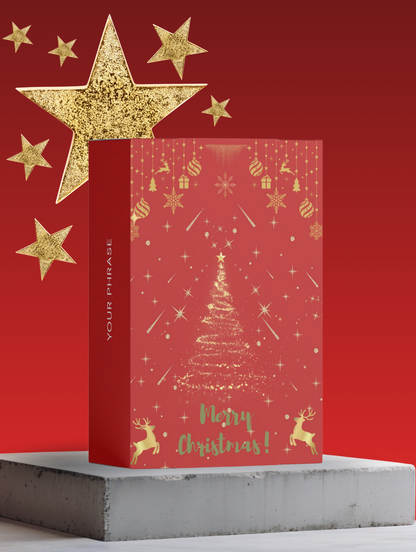 THE PERFORMANCE DUO - XMAS COLLECTION BOX