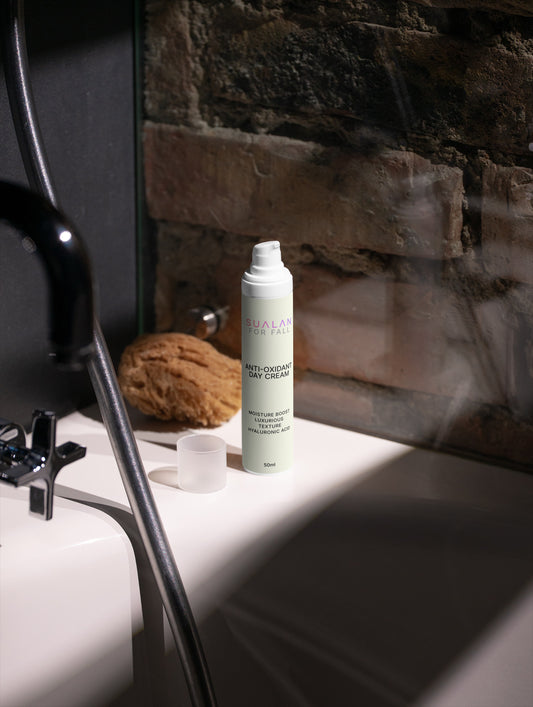 THE ANTI-OXIDANT DAY CREAM